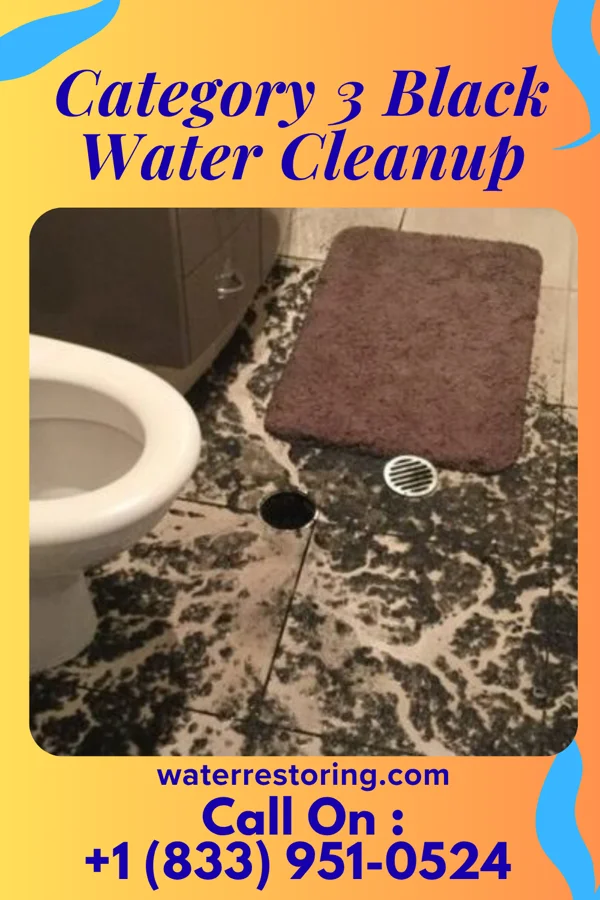 Category 3 Black Water Cleanup in Ali Molina, AZ