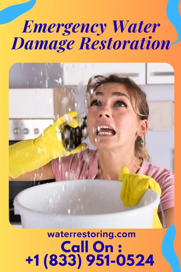 Emergency Water Damage Restoration in Ali Molina, AZ