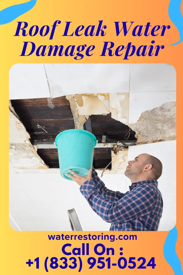 Roof Leak Water Damage Repair in Ali Molina, AZ